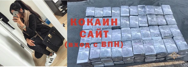 дурь Богданович